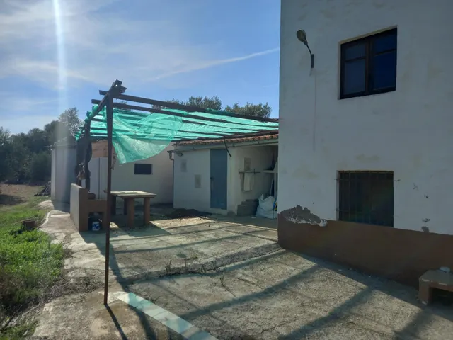 OCASION FINCA RUSTICA DE REGADIO CON VIVIENDA A 1,5 kM. DE MORA D´EBRE — 6