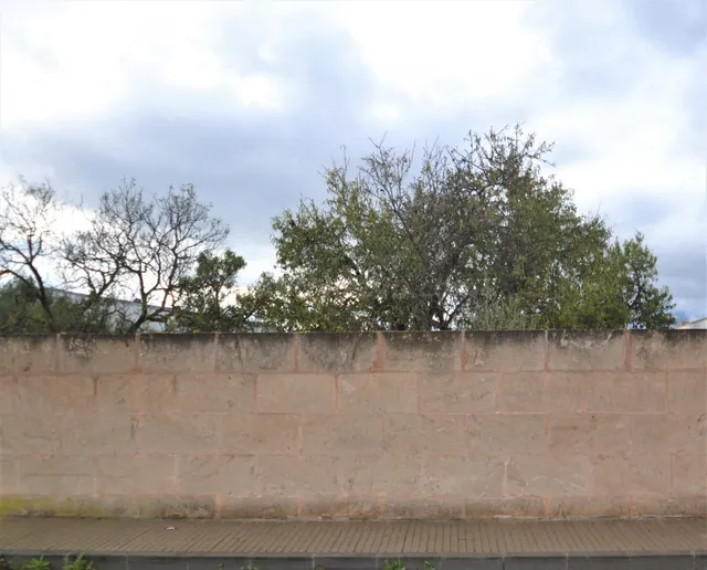 Fantástico solar en Muro - foto 4