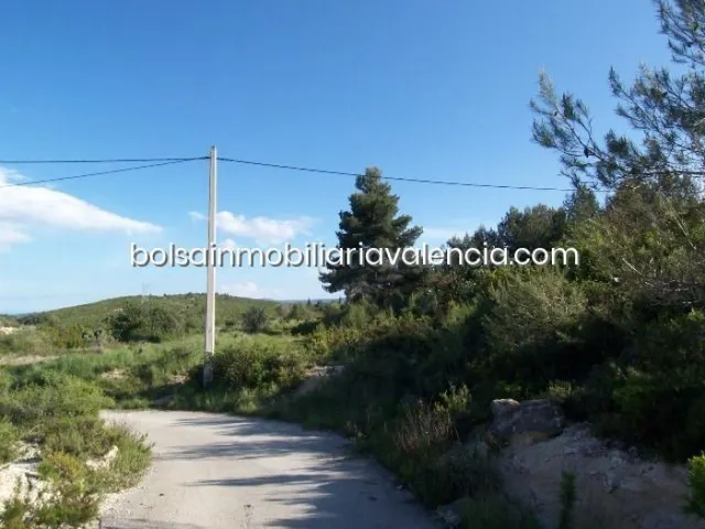 Terreno rural 8000m² en venta - La Raiosa — 6