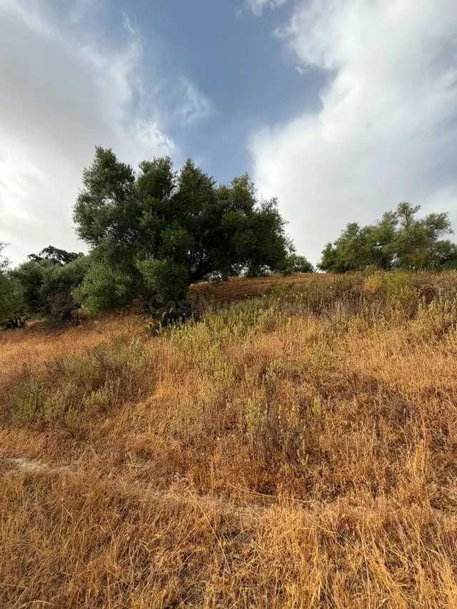 Terreno Rústico de 35 fanegas en FINCA LA SERENA! — 14
