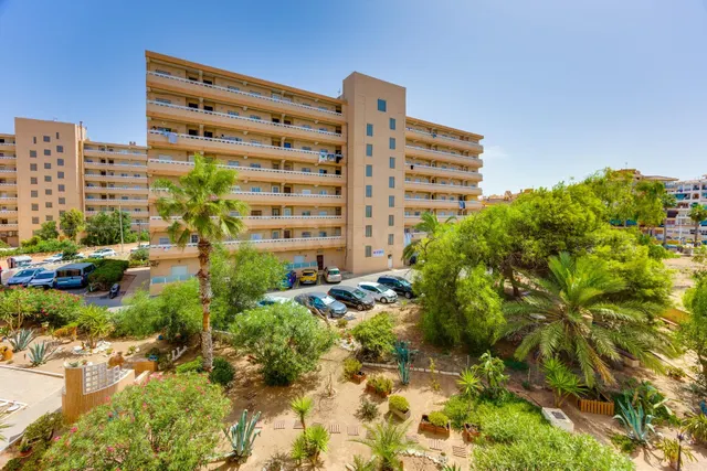 Apartamento de 1 dormitorio con parking comunitario a 240m de la Playa de La Mata — 26