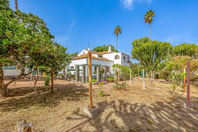 Casa con encanto en tafira, amplia parcela y construcciones auxiliares — 11
