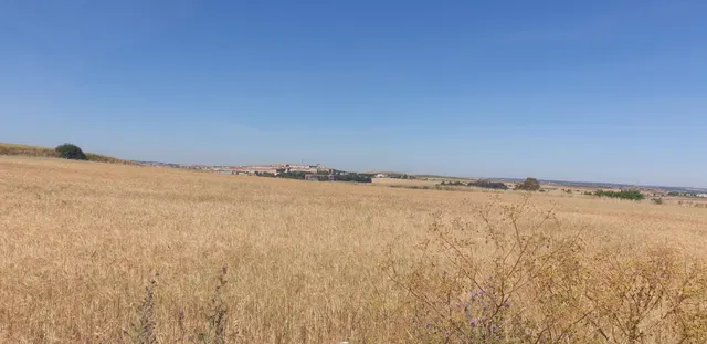 Urbis te ofrece un Terreno Agrario No Urbano en Salamanca, Zona PEÑISCAS, Salamanca — 6