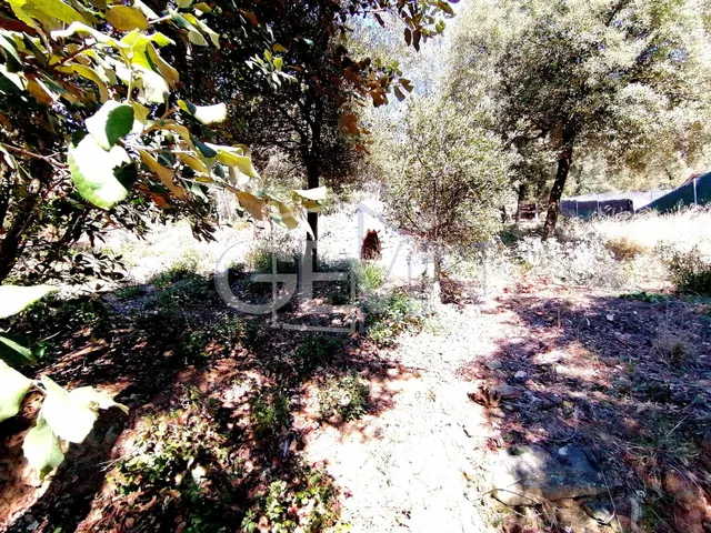 Terreno urbano en venta de 1090 metros en Urbanización Can Regasol de Bigues i Riells — 11