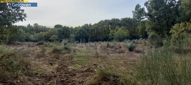 MARAVILLOSA FINCA CON POSIBILIDAD DE EDIFICAR - foto 2