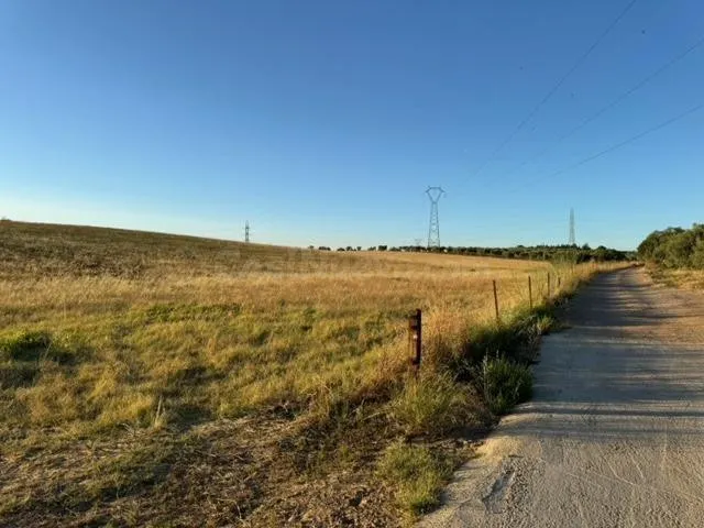 CASABANCO VENDE FINCA RÚSTICA EN CAMINO VALLE DE LA HIGUERA  - foto 5