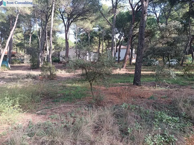 Espectacular parcela con chalet y piscina a 15 minutos de Albacete — 23