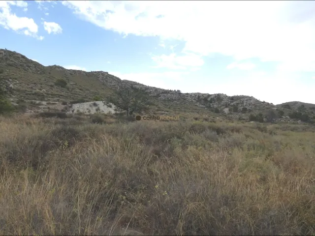 Terreno rural zona los colegiales — 6
