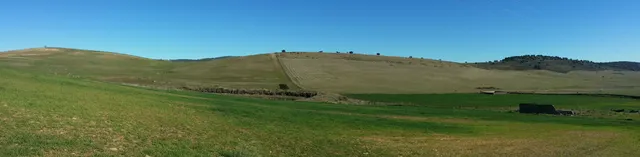 FINCA RÚSTICA ENTRE BELMEZ Y PEÑARROYA-PUEBLONUEVO — 7