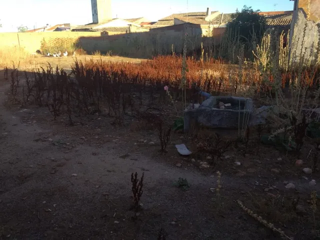 Urbis te ofrece una casa en venta en Salmoral. — 9
