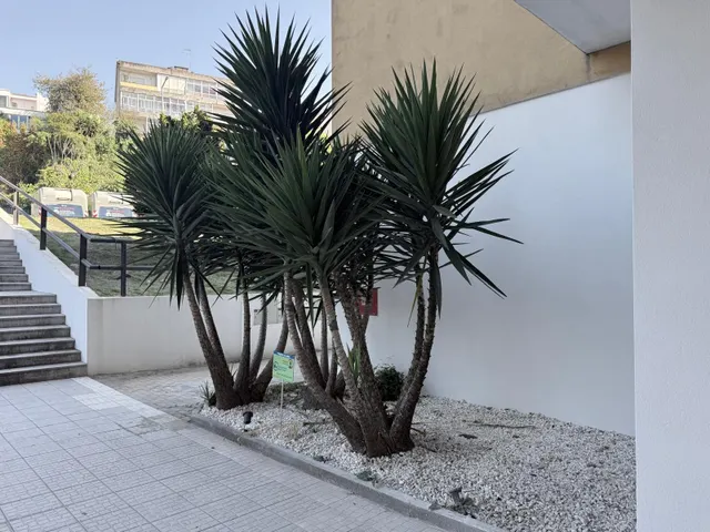Apartamento 2 habitaciones 97m² en venta - Real - Dume - Semelhe — 38