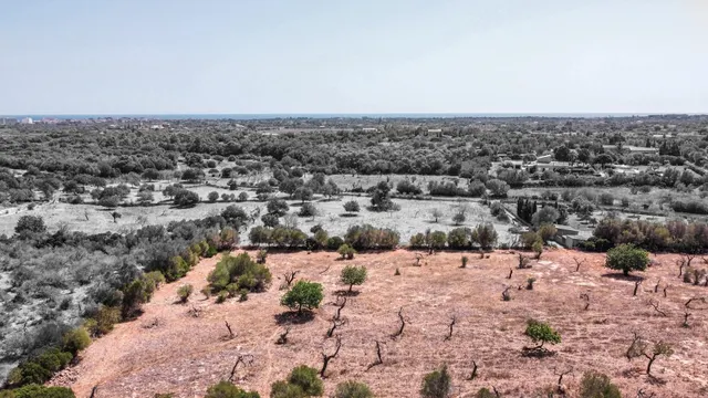 Finca rústica con proyecto de vivienda unifamiliar en Sa Gru - foto 5