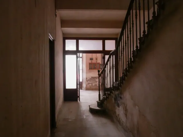 PALACETE HISTÓRICO DE 1900 EN EL CENTRO DE ALBERIC – 14 habitaciones, JARDINES Y GRAN POTENCIAL — 29