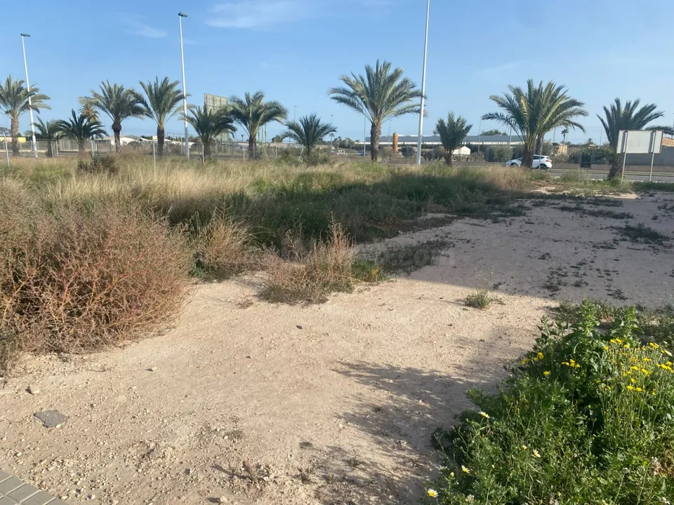 Exclusiva Parcela de 250 metros en La Torreta, Elche