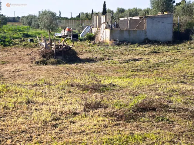 Parcela Rústica de 2.689 m2 en Felanitx â Zona Segona Volt - foto 3