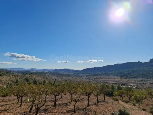 Parcela en la Romana, Comunidad Valenciana - foto 5