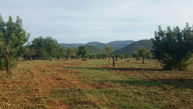 Finca con licencia — 12