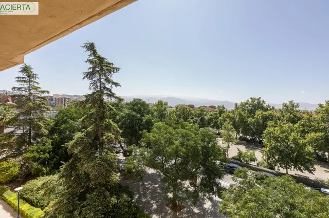 Excelente piso con vistas despejadas a sierra nevada — 21