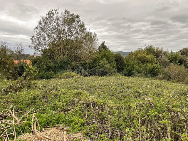 Terreno urbanizable en venta - Voto - foto 4