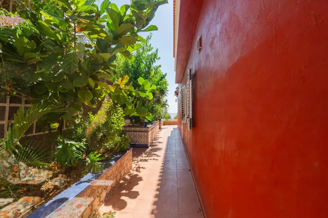 VIVIENDA INDEPENDIENTE EN BCO HONDO — 18