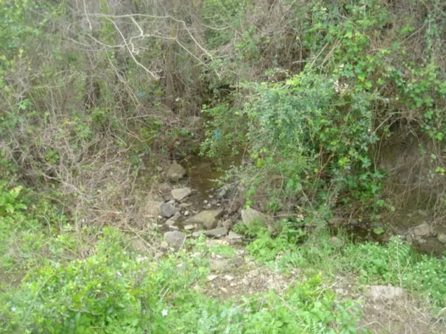 Se vende finca ceca de Tarifa — 8