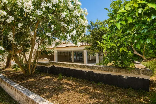 Finca con casa de piedra en Santa Margarita - foto 4