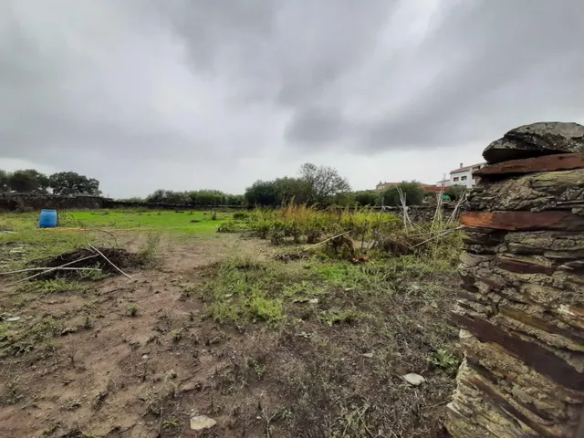 parcela a 1000 m2 con pozo al lado de Botija — 7