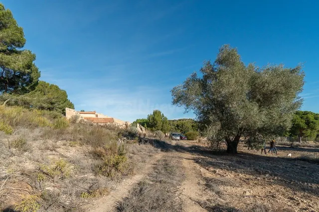 Terreno rural 3 habitaciones 395m² en venta - Pinar de Campo - foto 5