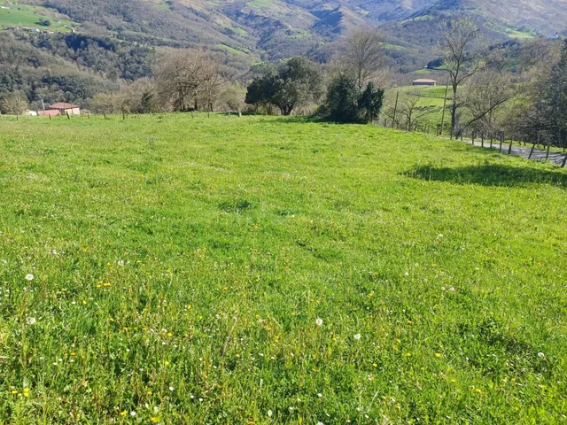TERRENO EN VEGUILLA DE SOBA (CANTABRIA) - foto 5