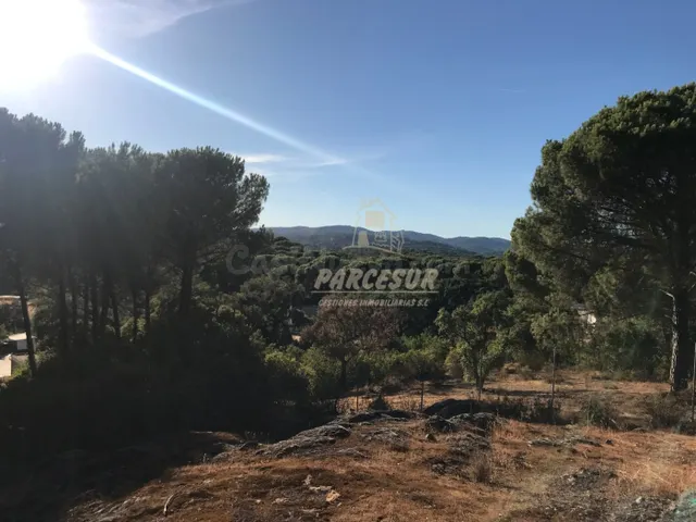 ZONA TORRE HORIA-TRASSIERRA -Parcela de terreno con pozo com - foto 4