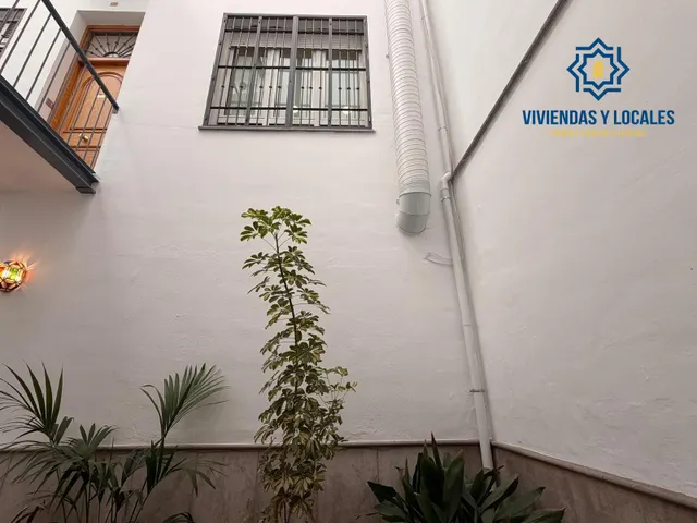 Calle Navas. Local comercial con salida de humos en la zona mas famosa de bares en Granada. — 12