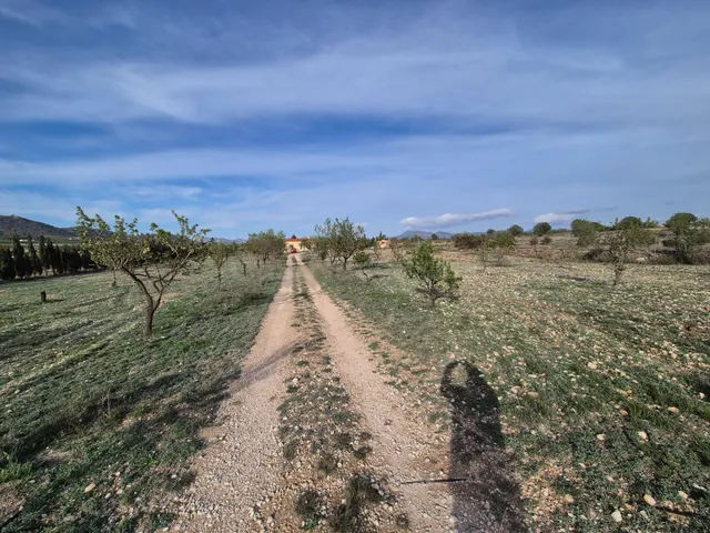 VENTA DE CAMPO