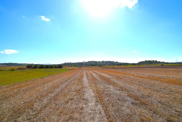 Finca rústica con posibilidad de vivienda en Muro - foto 3