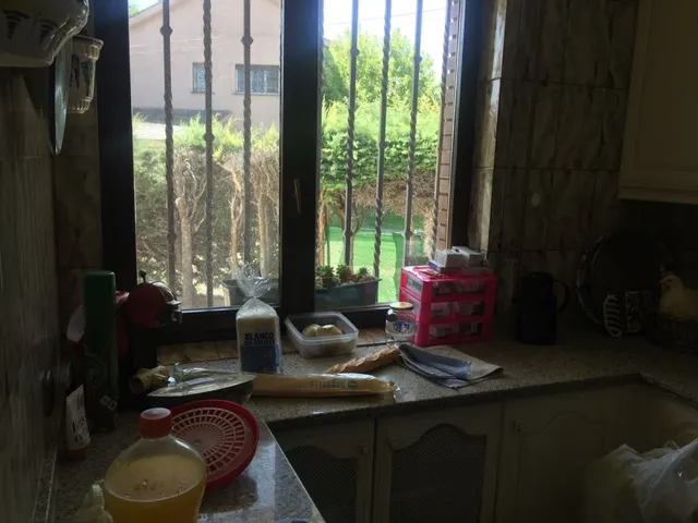 URBANIZACION LA MINA, SE VENDE CHALET — 30