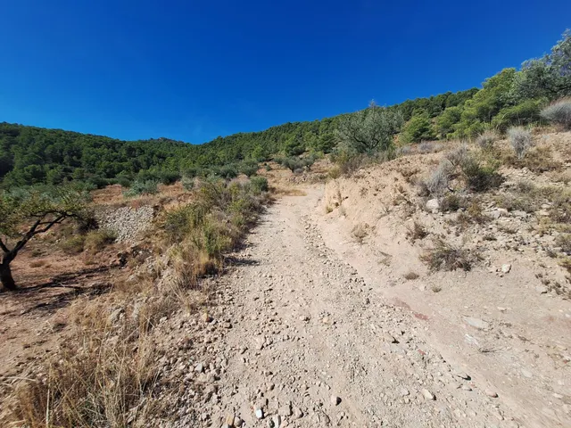 Terreno agrícola con olivos, almendros y vistas al Castillo de Castalla — 17.000 € — 10
