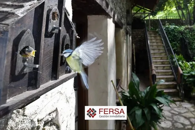 PRECIOSA CASA RURAL EN BENAMAHOMA — 15