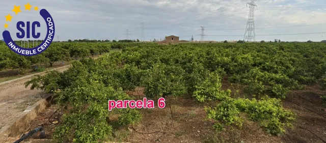 FINCAS RÚSTICA 24 HANEGADAS DE CLEMENTINA EN PRODUCCIÓN CON MASIA Y POZO MUY CERCA DE LA CIUDAD — 12