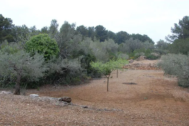 Finca rústica en venta - Afueras del pueblo — 5