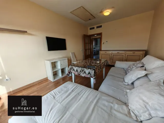 Espectaculares vistas al Guadiana, terraza privada, garaje y - foto 5