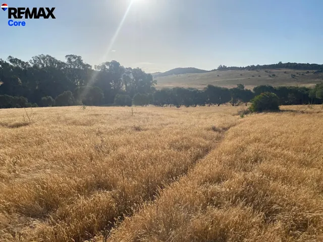 Finca Rústica de 5 Ha con Construcción Registrada – Finca en - foto 2