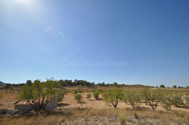 Parcela en venta - Jumilla - foto 5