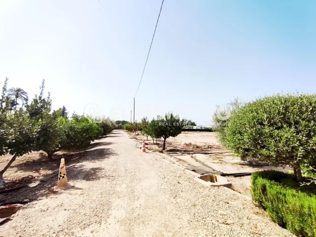 Fantástica casa de campo con parcela en la zona del campo de Elche, Alicante, Costa Blanca — 12