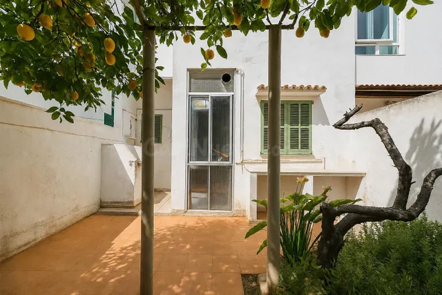 Planta baja con carácter y patio en Es Rafal Vell – ¡Lista p - foto 4