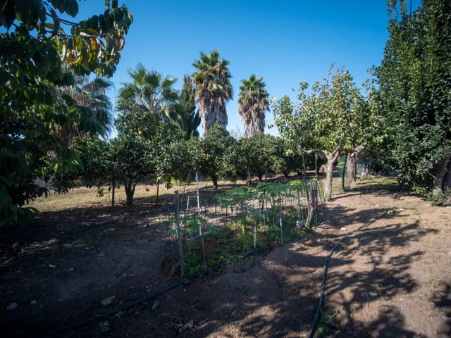 FINCA RÚSTICA CON ARBOLES FRUTALES Y CUADRA DE CABALLOS — 14