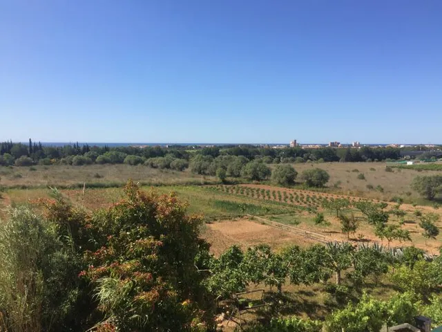MASIA DEL 1960 CON 39000M2 DE TERRENO AGRICOLA AL LADO DEL MAR DE SANT SALVADOR — 15