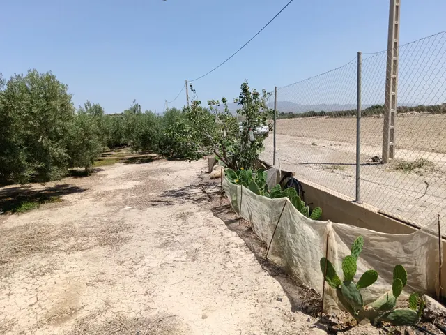 Se vende finca en Huércal-Overa, El Saltador!!!! — 6