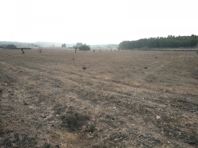 EXCELENTE PARCELA EN PARAJE DE LOS ESPETONES — 4