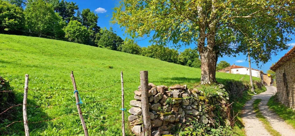 Exclusiva finca rústica de 3.899 m2 con proyecto de vivienda y autorización favorable de la crotu en sel de la carrera .-
