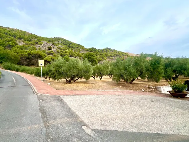 NÍVAR - foto 4