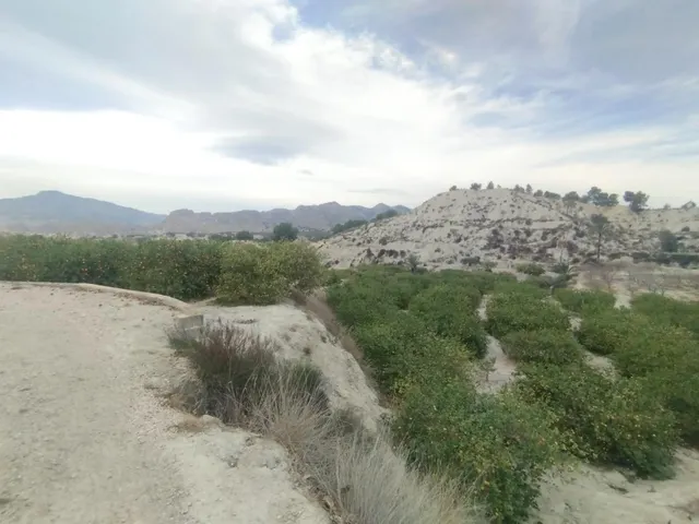 ¡Descubra una oportunidad única en el corazón del Valle de Ricote! — 8